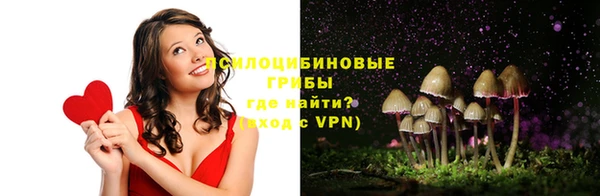 дурь Горнозаводск