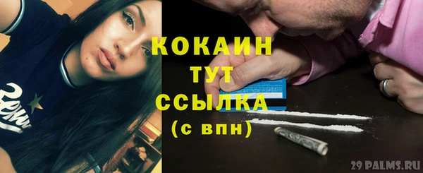 меф Горняк