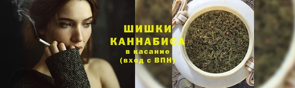 меф Горняк