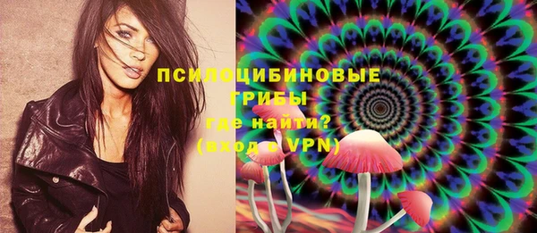 дурь Горнозаводск