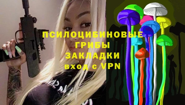 дурь Горнозаводск